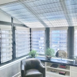 Dual Window Shades and Skylight